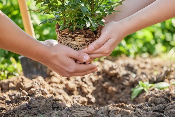速盈策略 当校长不玩虚的！做到四点，师生打心眼里服你！